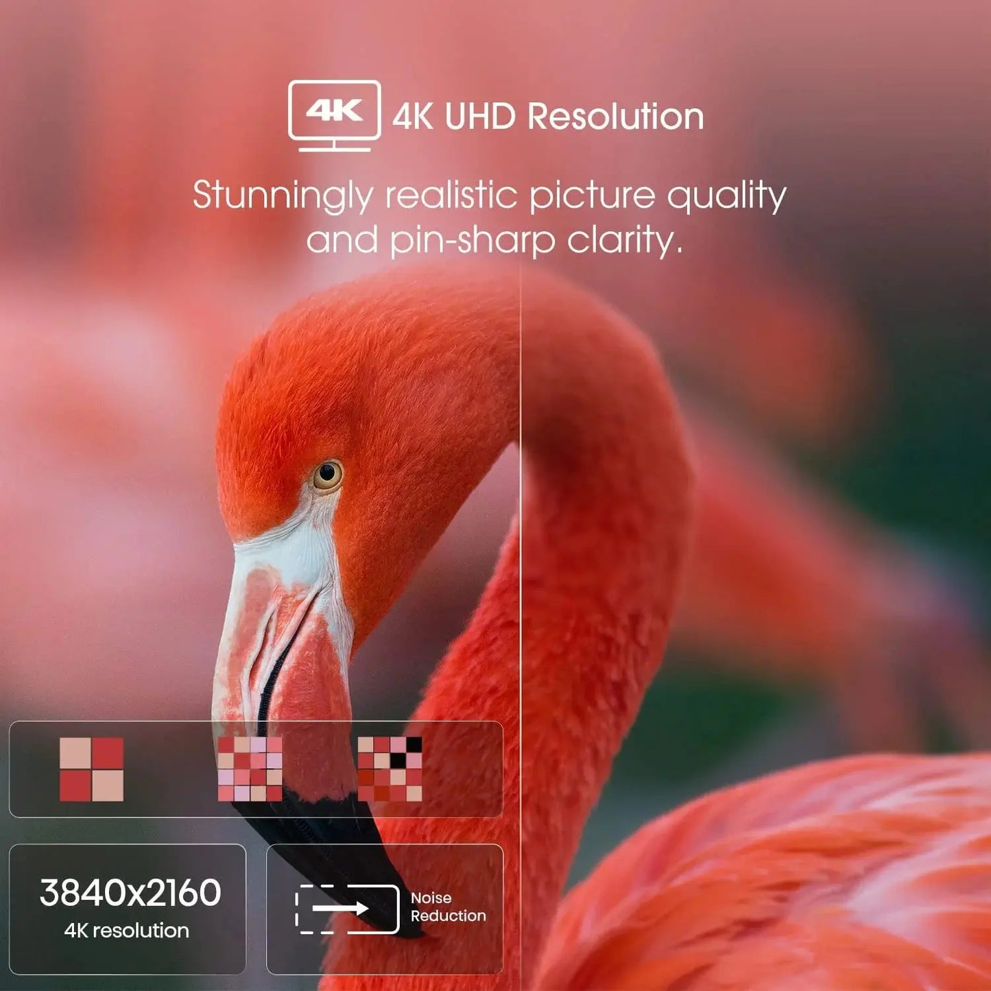 Used 55" Class 4K UHD Google Smart TV HDR A6H Series 55A6H (Used)
